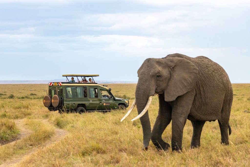 Ruma National Park 5 Days 4 Nights Adventure Package – Standard Lodge