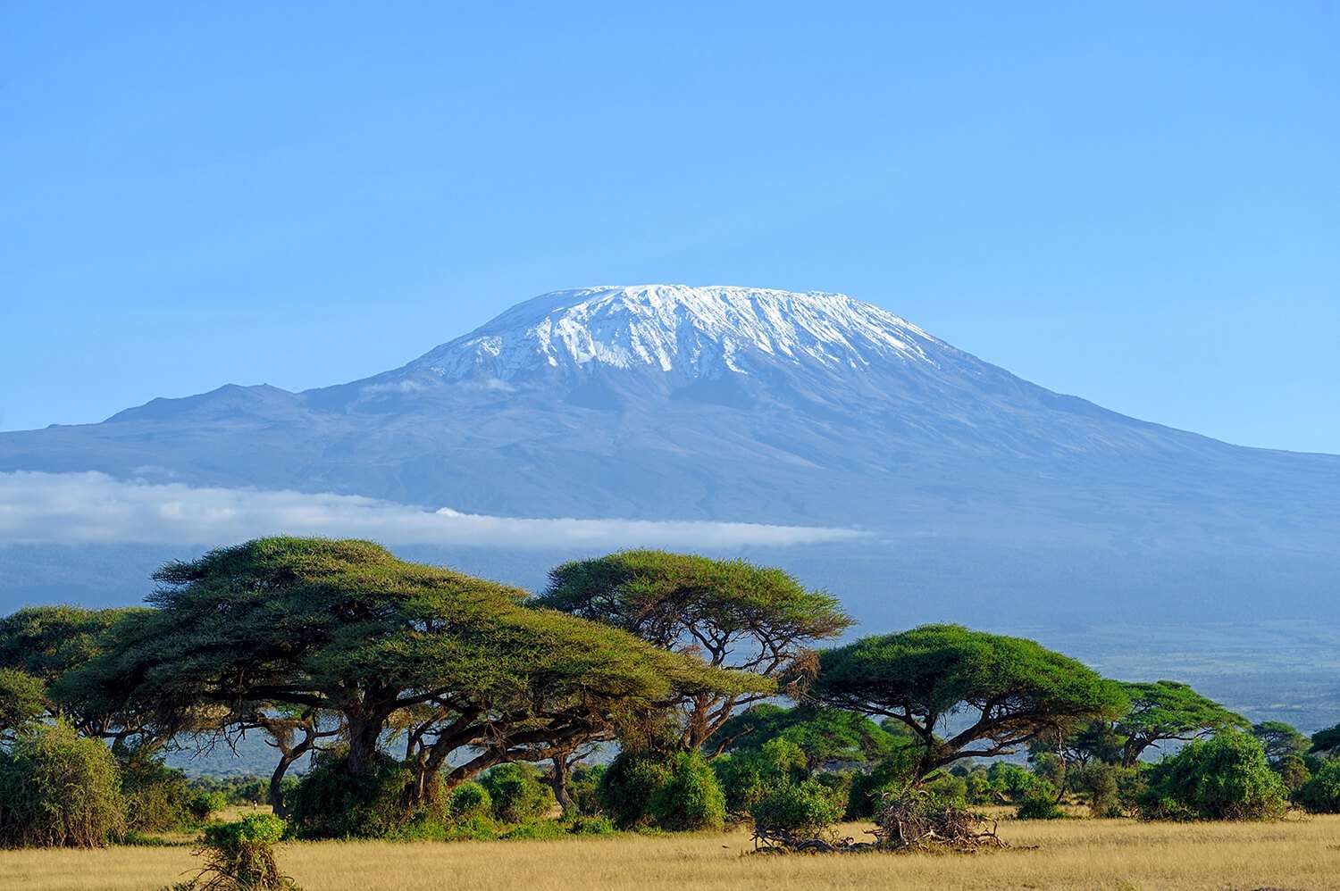 Mount Kenya 5 Days 4 Nights Adventure Package – Standard Lodge