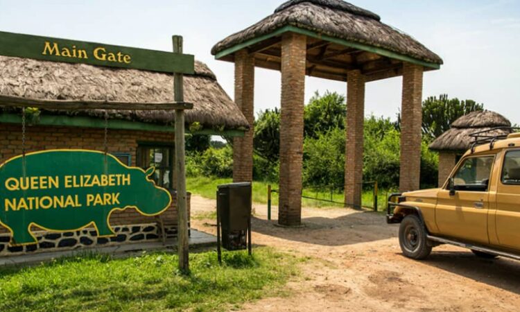 Queen Elizabeth National Park 5 Days 4 Nights Luxury Package – Safari Lodge